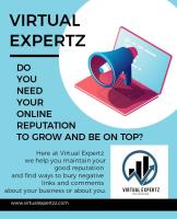 Virtual Expertz image 47